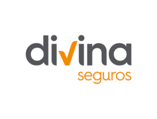 divina_seguros_logo
